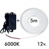 LED Stripe Neon LED 6mm 12V + Stromversorgung