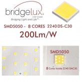 Module optique LED 10W-65W Driver Philips Programmable SMD5050 8D BRIDGELUX  pour Réverbère