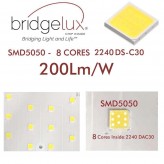 Módulo Optico LED 50W BRIDGELUX Chip SMD5050 8D para Farola
