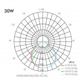 Foco Proyector Exterior LED 30W EVOLUTION IP65