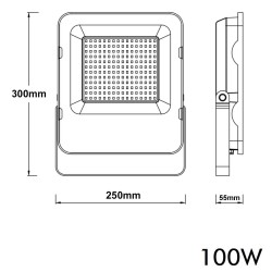 Foco Projector Exterior Cinza LED 100W ACTION IP65