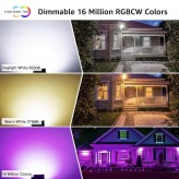 30W LED-Flutlichtstrahler - SMART Wifi RGB+CCT - Dimmbar