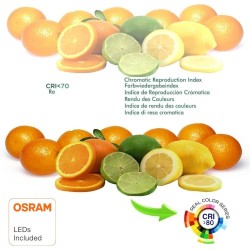 Lâmpada LED 6W  E27 G45 220º - OSRAM Chip