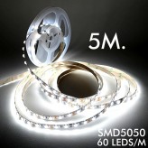 Ruban LED 12V | 60xLED/m | 5m | SMD5050 |960Lm | 14W/M | IP20