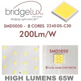 LED Straßenlaterne Aluminium Villa 40w-50w-65w-100w