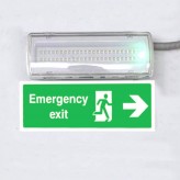 LED Emergency Light 4W + Ceiling Kit + Permanent Light Option - IP65