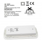 LED Emergency Light 4W + Ceiling Kit + Permanent Light Option - IP65