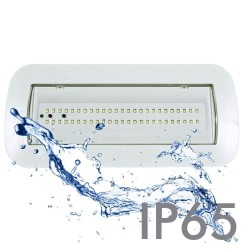 LED Emergency Light 4W + Ceiling Kit + Permanent Light Option - IP6...