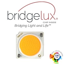 Foco LED 40W UPPSALA  Branco BRIDGELUX Chip Calha Monofásico CRI +90