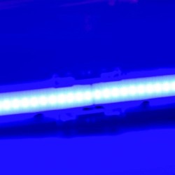Conector de união transparente para tiras de LED - COB + SMD - 10mm - IP20