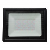 50W LED Outdoor Floodlight Black  ACTION IP65- RGB