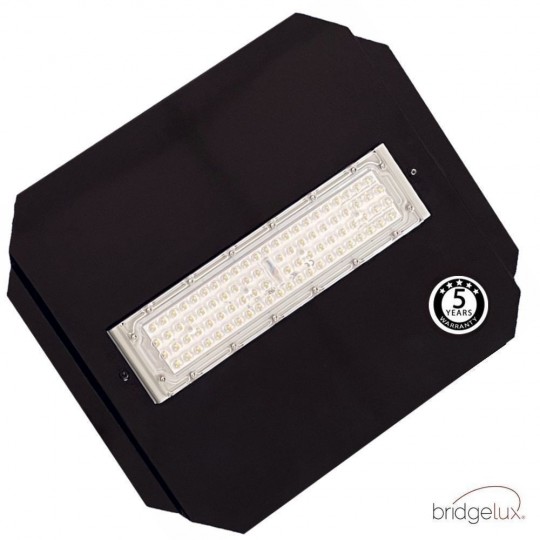 50W Module LED MAGNUM Bridgelux 136ºx78º + Steel Plate