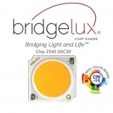 LED Strahler 40W MADRID  Schwarz BRIDGELUX Chip 1-Phasen Schienensystem CRI+98