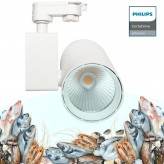 LED Tracklight 40W MADRID White PHILIPS Driver single-phase rails - SPECIAL FOR FOOD