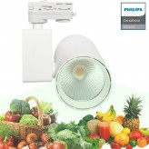 LED Tracklight 40W MADRID White PHILIPS Driver THREE-PHASE rails - SPECIAL FOR FOOD