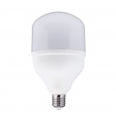 Ampoule LED SMD - 45W - 4000Lm - E27 - IP20