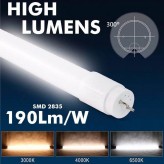 Tubo LED 10W Vidro 60cm T8 - 160 Lm/W - MAX LUMENS - 1600Lm