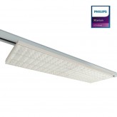 LED Tracklight 75W - LINEAR  ARENDAL - White 3-PHASE - 58cm