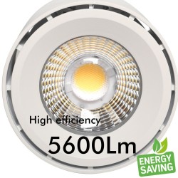 Foco LED 36W - 42W ODENSE Blanco PHILIPS Driver Carril TRIFÁSICO - CRI+97