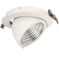 Downlight LED 30W Philips - CertaDrive -  Circular Direccionable - HAMBURGO