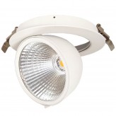 Downlight LED 30W Philips - CertaDrive -  Circular Direccionable - HAMBURGO