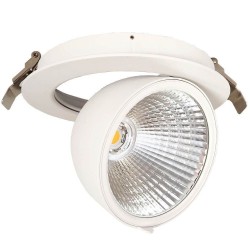 Downlight LED 30W Philips - CertaDrive -  Circular Direccionable - HAMBURGO