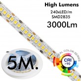 Ruban LED 24V | 240xLED/m | 5m | SMD2835 | 560Lm | 30W/M | IP20