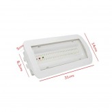 LED Emergency Light 4W + Ceiling Kit + Permanent Light Option - IP65