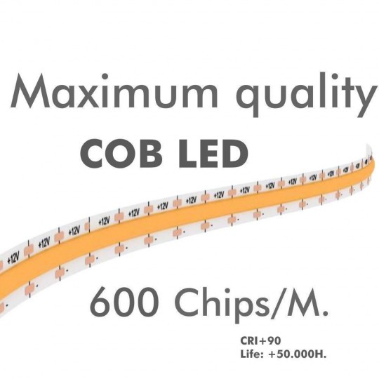 Lineares LED-COB - IP68 - Einbaufähig - ALASKA ELOXIERT SILBER - 12V