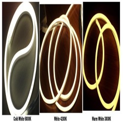 8W Neon LED Flexible 12V Coil 25m  8mm