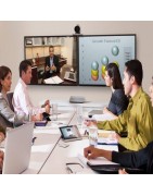 Videoconference Systems